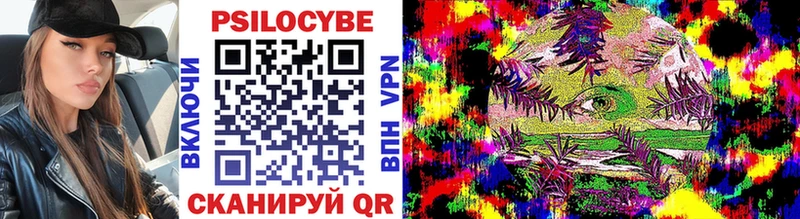 Псилоцибиновые грибы Psilocybe  MEGA сайт  Кущёвская 
